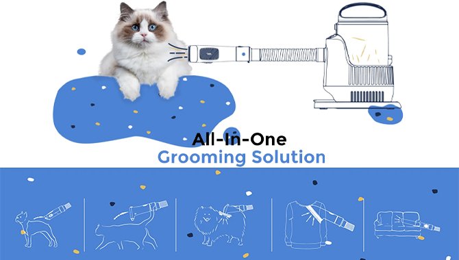 all in one grooming solution