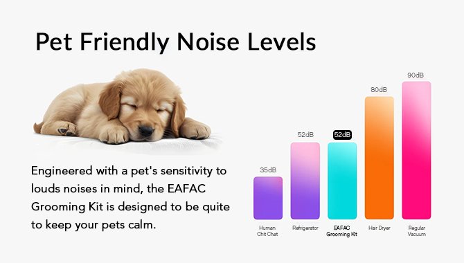 pet friendly noise level
